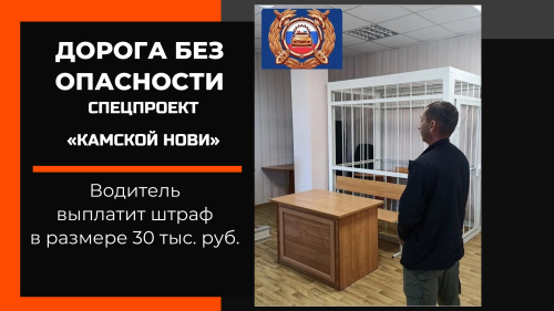 В Лаишевском районе водитель отправился под арест прямо с сельской улицы