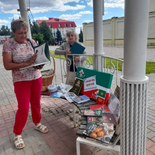 На книжном развале в Лаишеве можно было узнать об истории Дня Республики Татарстан