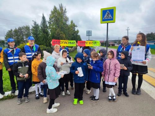 Пәрәүдә нәниләрне куркынычсыз юл кагыйдәләренә өйрәттеләр
