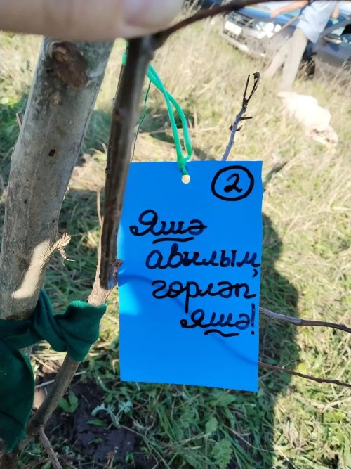 Имәнкискәдә имәннәр  аллеясы: хәтер, кайгырту һәм уртак эш!