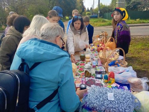 Лаеш районы укучылары МХОда  катнашучы хәрбиләр өчен даруларга акча җыйдылар