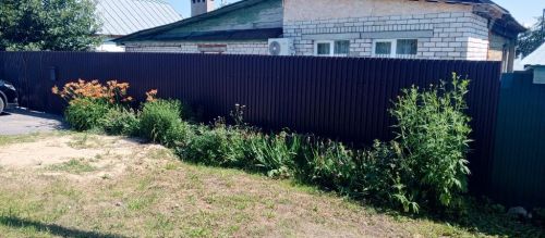 Жители Лаишево своими руками превратили город в цветущий сад