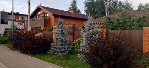 Жители Лаишево своими руками превратили город в цветущий сад