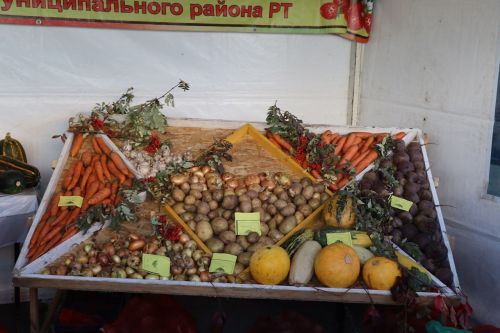 Лаишевский район принял активное участие в выставке «Город мастеров» в Казани