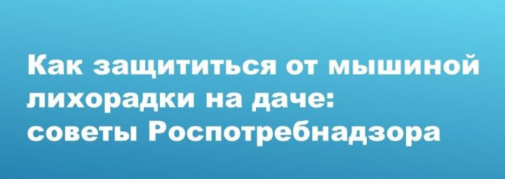 Как защититься от мышиной лихорадки на даче: советы Роспотребнадзора