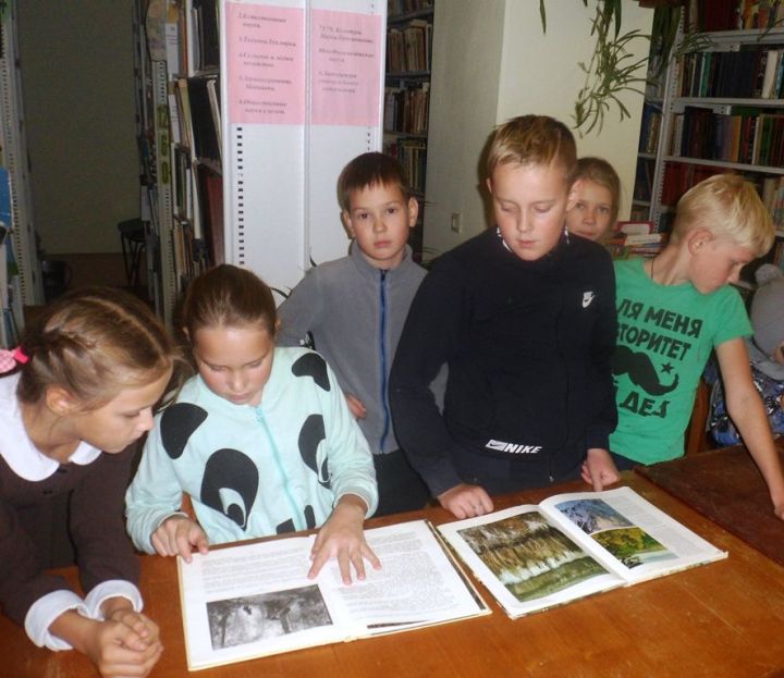 Школьники Лаишевского района совершили виртуальное путешествие во времена года