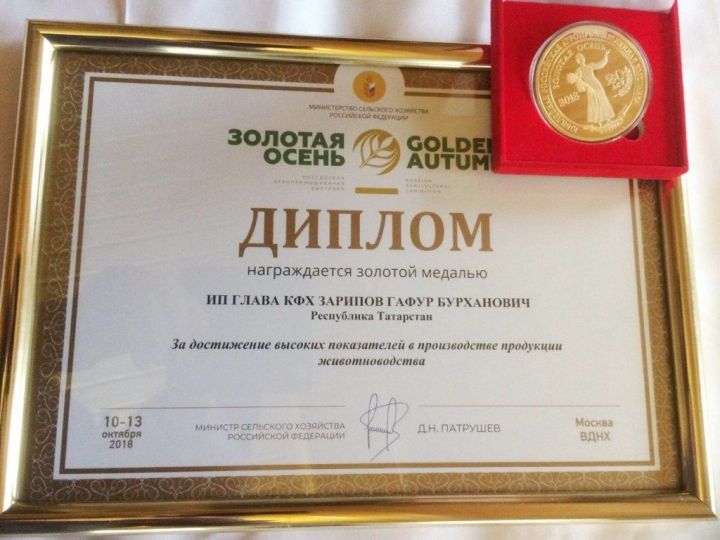 Золотая медаль Всероссийской выставки «Золотая осень» отправилась в Лаишевский район