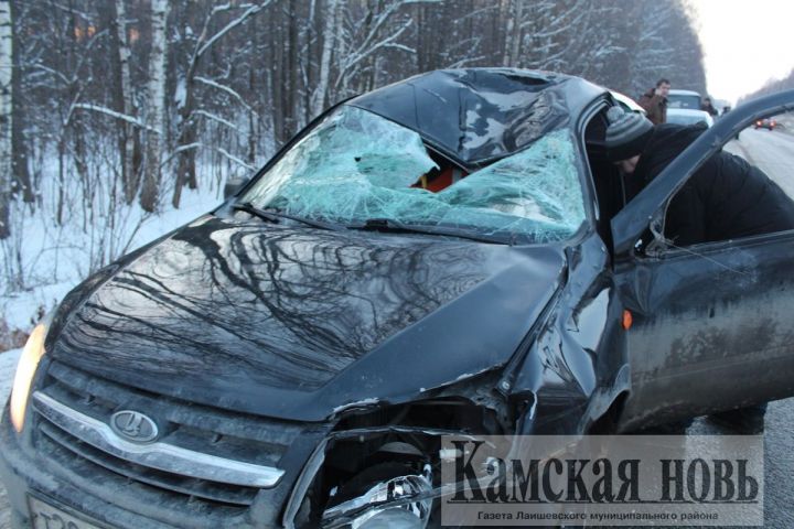Сегодня, 14.12.2018 г.,  на дороге у Александровского леса машина сбила лося