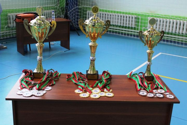 Победители и призеры турнира по корэш на призы главы Лаишевского района