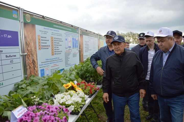 Президент Татарстана совершил облет полей Лаишевского района