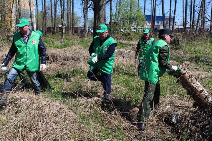 В Татарстане провели акцию «Чистые леса»