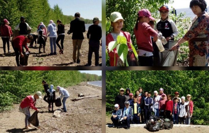 Учащиеся Лаишевского района занимаются очисткой берегов водоемов