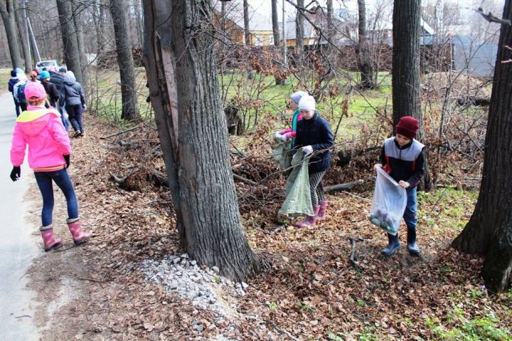 В Лаишевском районе проходит акция «Чистые леса»