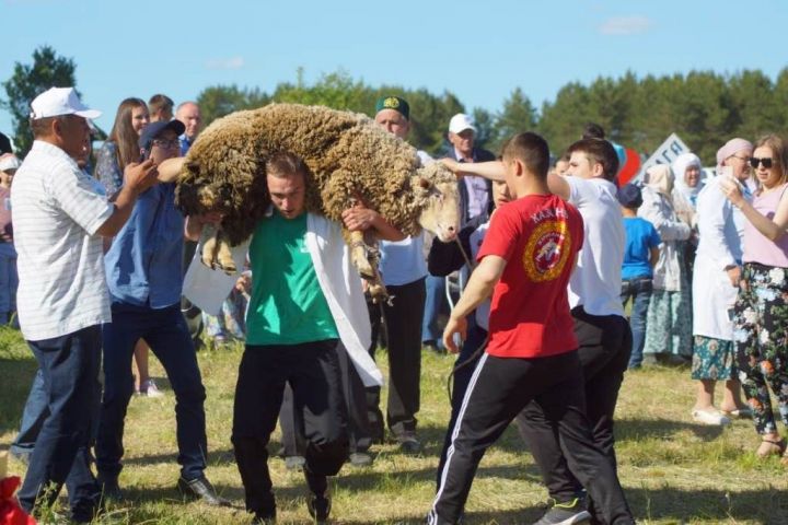 Новые традиции празднования Сабантуя в Лаишевском районе