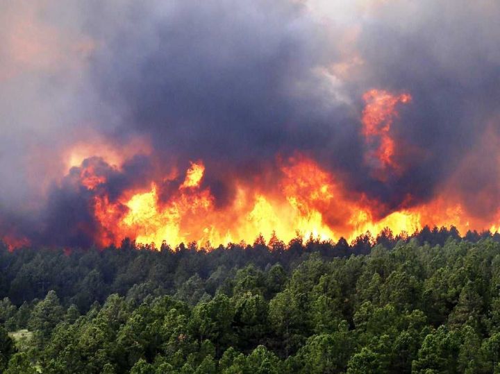 Штормовое предупреждение о высокой пожарной опасности лесов