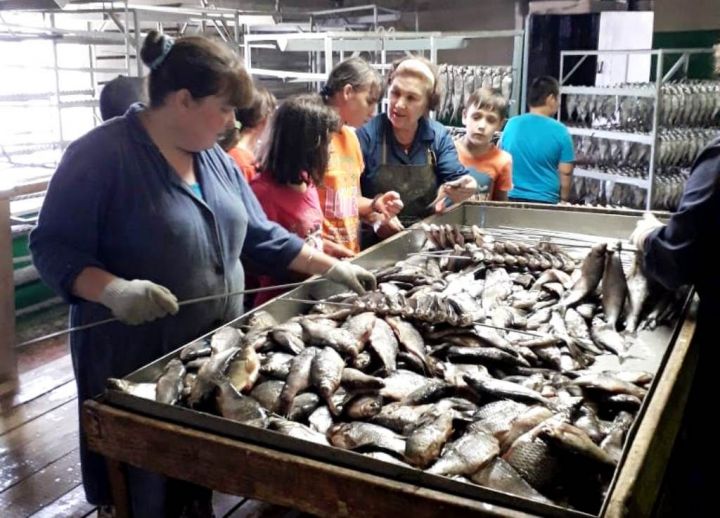 Экскурсия на Лаишевский рыбозавод заинтересовала подростков
