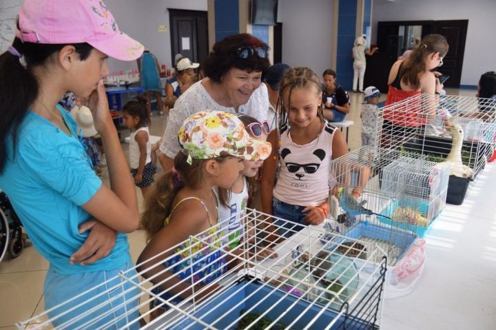 С четвероногими, пернатыми и водоплавающими животными познакомились дети в «Домашнем зоопарке»