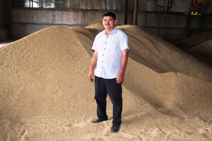 Как проходит уборка зерновых в Лаишевском районе