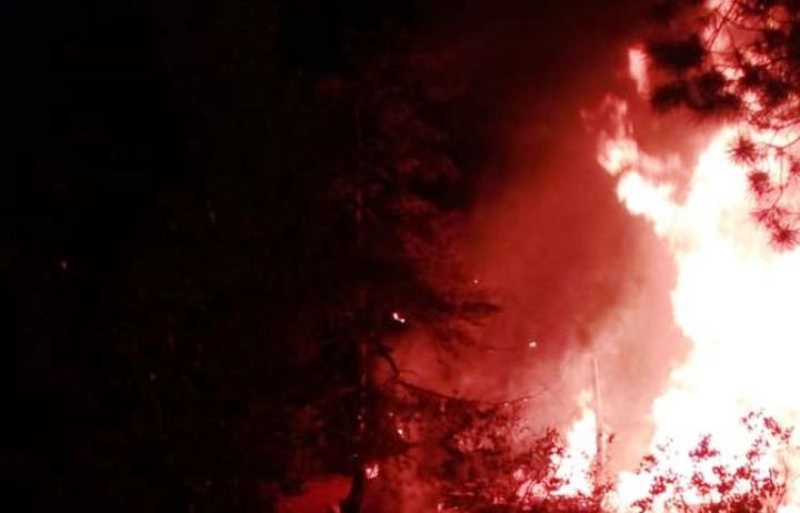 Хозяин дачного дома получил тяжелые ожоги, спасаясь из огня