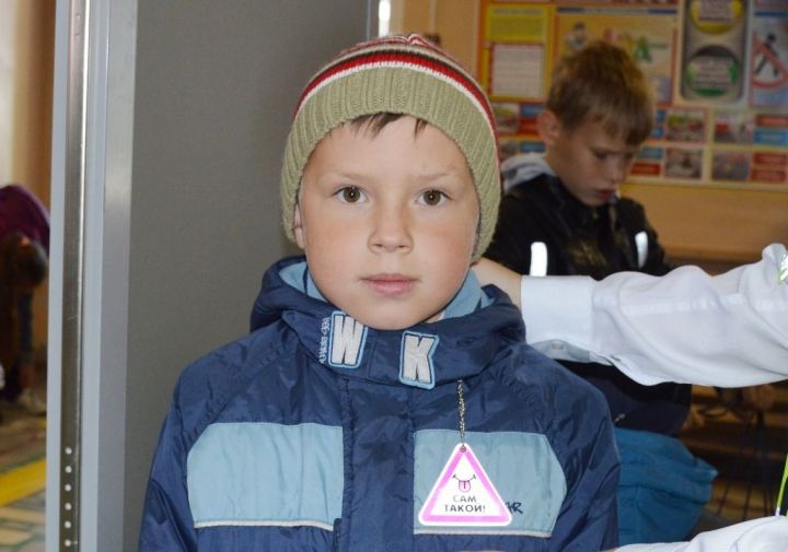 Акция «Светлячок» прошла в Лаишевской школе №2