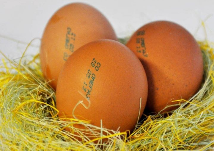 Что означает маркировка на куриных яйцах?