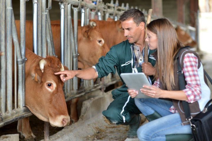 Минсельхозпрод РТ объявляет дополнительный конкурс на получение грантов по программе развития семейных животноводческих ферм