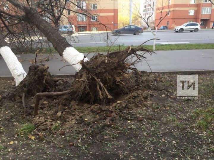 Сорванная кровля, поваленные деревья: над Татарстаном пронесся октябрьский штормовой ветер