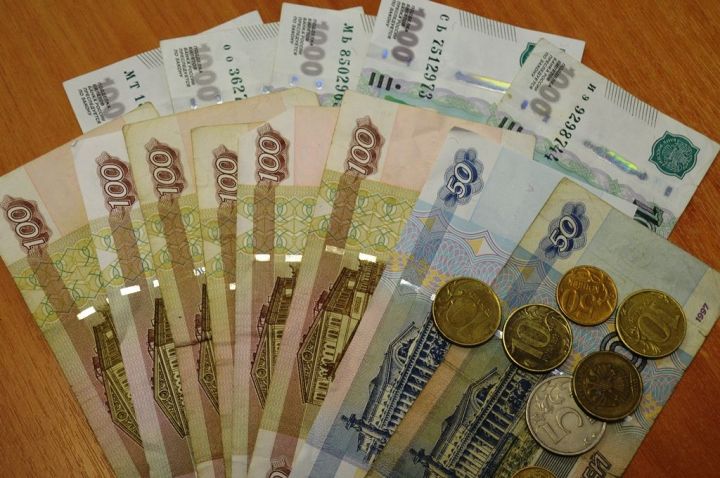 На 245 млн рублей граждане пополнили свои электронные налоговые кошельки