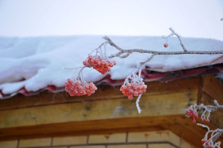 В Лаишево ожидается небольшой снег