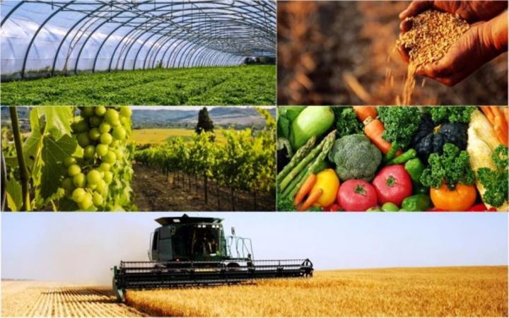 Гранты для начинающих сельскохозяйственных потребительских кооперативов