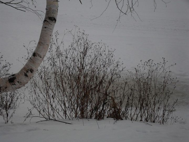 В Лаишевском районе ожидаются туман и мокрый снег