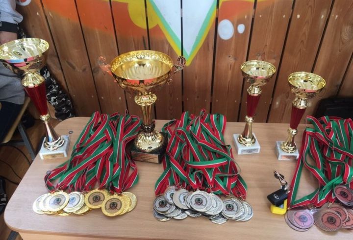 Усадские борцы завоевали первое место и кубок соревнований по панкратиону
