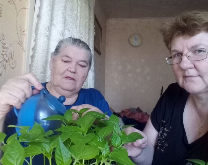 В Лаишевском районе пожилых приучают к гарденотерапии