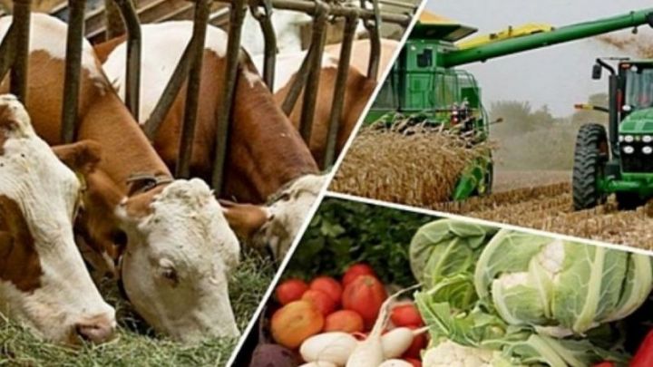 Подведены итоги конкурса по отбору сельскохозяйственных потребительских кооперативов на предоставление грантов