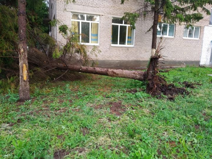 По Татарстану в понедельник, 24 июня 2019 года, пронесся ураган