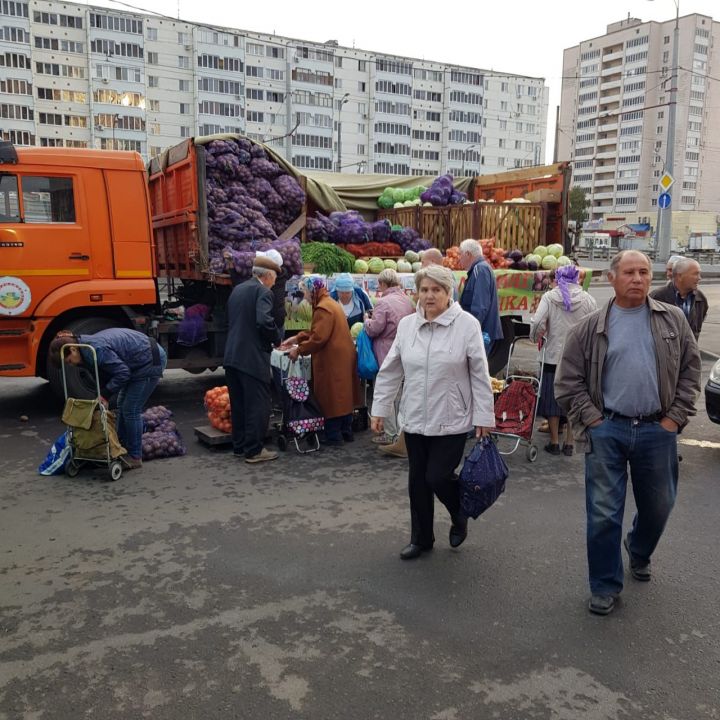 Лаишевский район снабжает татарстанцев сельхозпродуктами