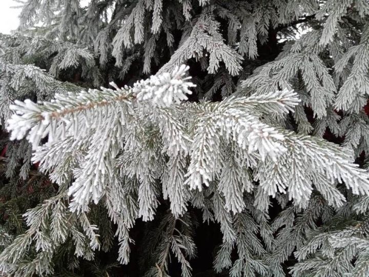 Погода: в Лаишевском районе мокрый снег и сильный ветер