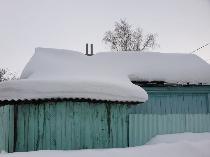 Февраль в Лаишевском районе начнется с мокрого снега и тумана