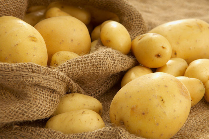В Татарстане завершена уборка картофеля&nbsp;