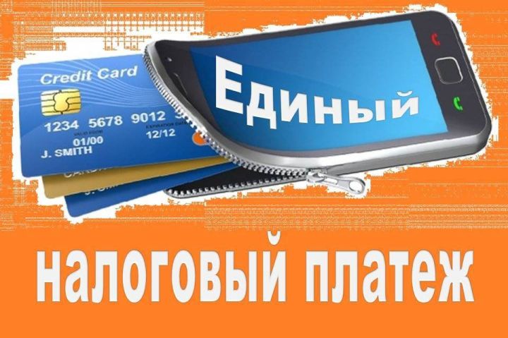 На 245 млн рублей граждане пополнили свои электронные налоговые кошельки