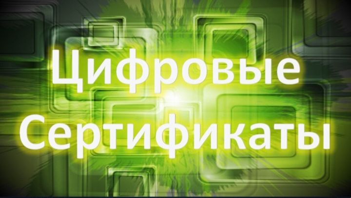 Татарстанцы приступили к обучению в рамках программы персональных цифровых сертификатов&nbsp;