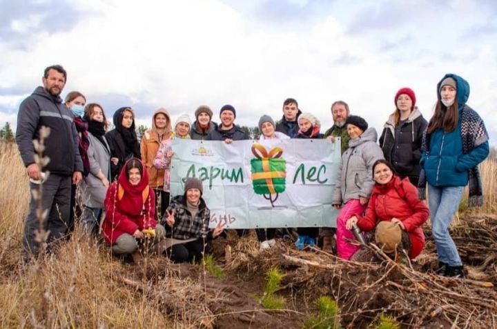 В Лаишевском районе занимаются восстановлением и сохранением лесов