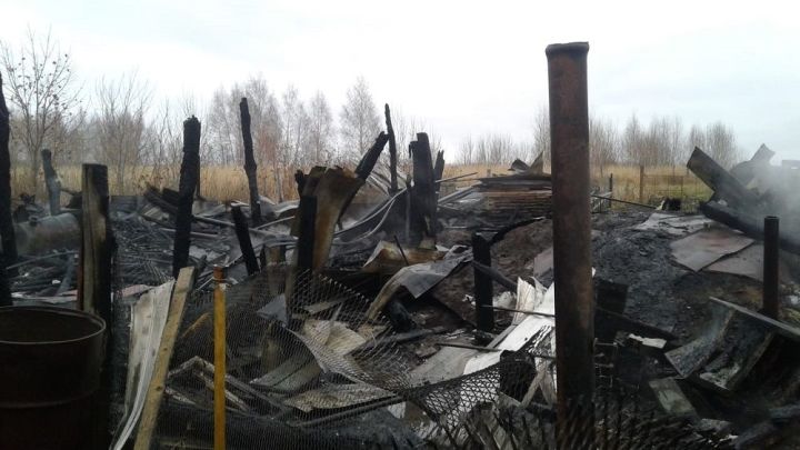 В Лаишевском районе во время пожара едва не погиб подросток