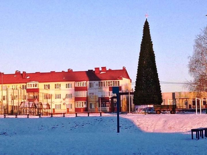 В Лаишево установили главную елку города