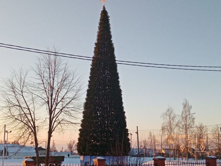 Открытие новогодней елки в Лаишево