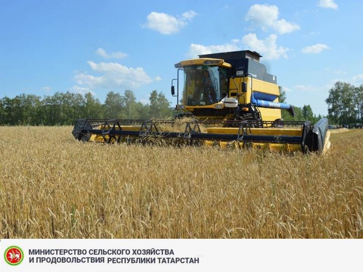Минсельхозпрод РТ приглашает жителей Лаишевского района на Агропромышленный форум