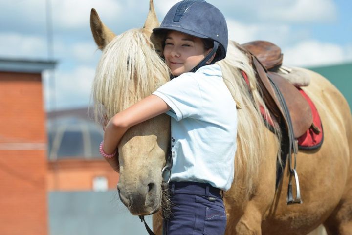 На приобретение и содержание лошадей породы "Татарская" можно получить субсидии