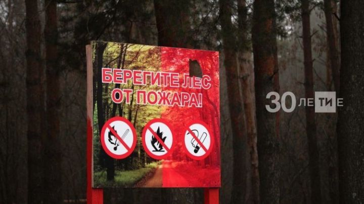 В Татарстане на две лесопожарные станции станет больше