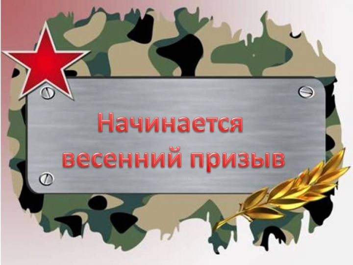 Лаишевские призывники пополнят Вооруженные Силы РФ