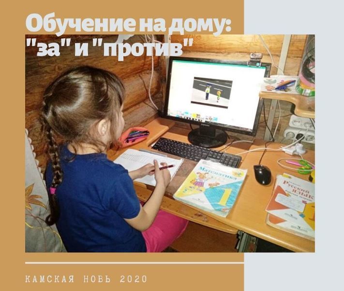 Жители Лаишевского района "за" или "против" обучения на дому